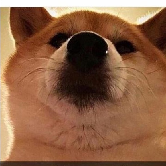 Meet your Posher, Daniel - Picture 1 of 1